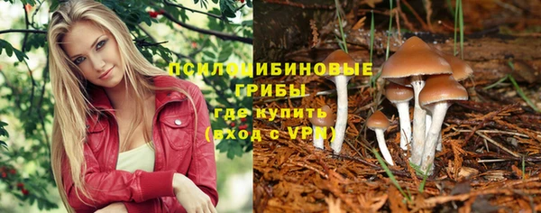 соль курить ск Алексин