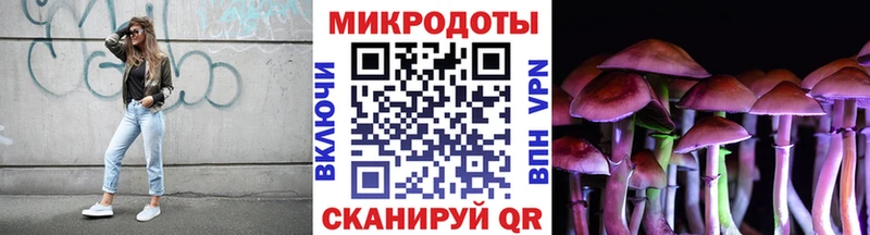 магазин продажи наркотиков  Павлово  Галлюциногенные грибы прущие грибы 