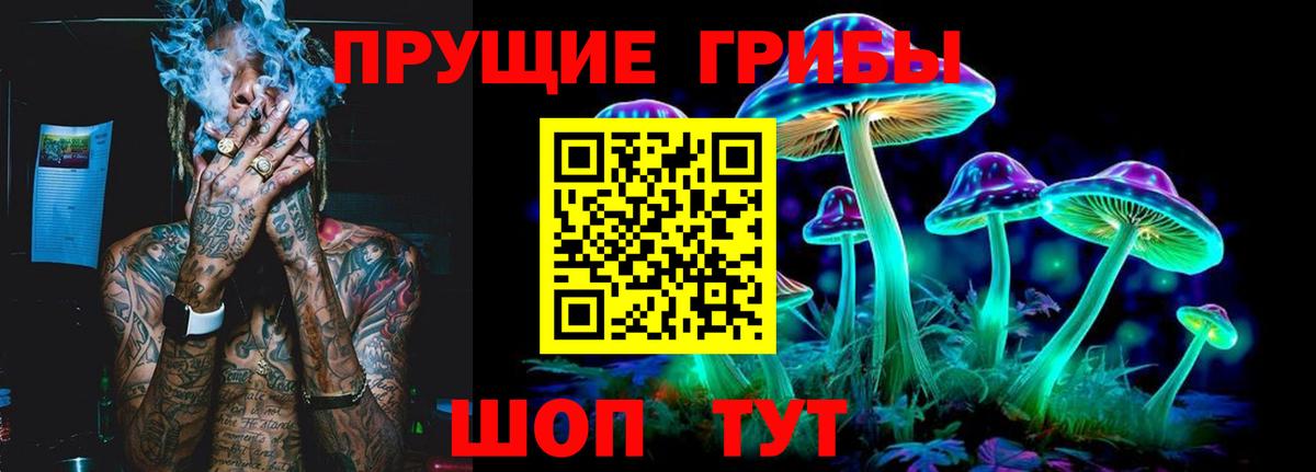 Павлово  Псилоцибиновые грибы мицелий  Вход с VPN  Псилоцибиновые грибы GOLDEN TEACHER 