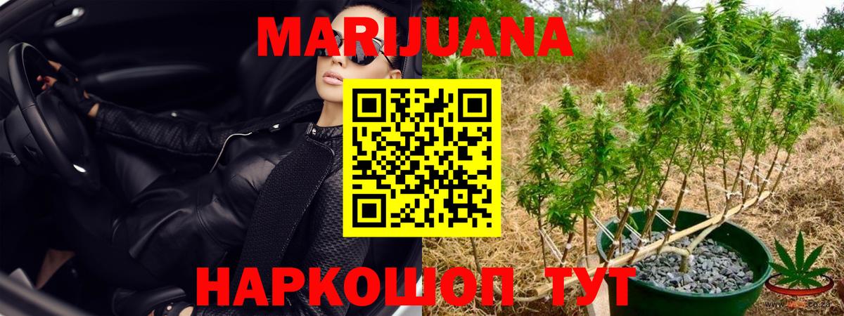 Канабис марихуана Павлово